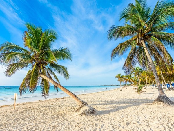 Путешествия Ватсона