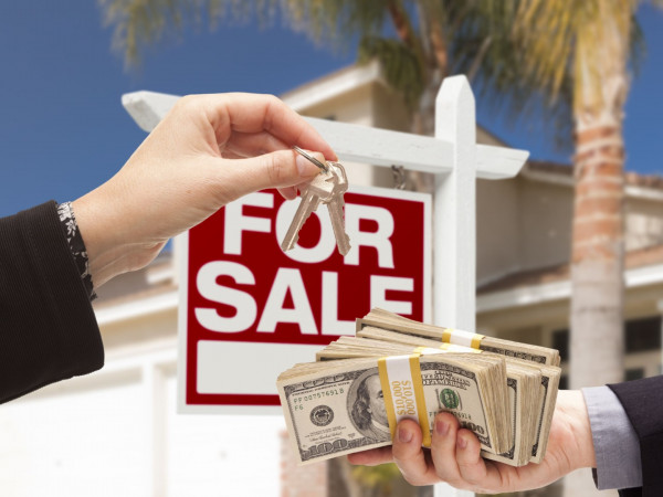 Гиганты на продажу (2)