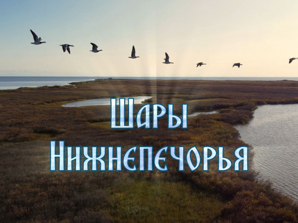 Шары Нижнепечорья (2)