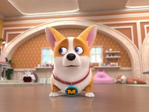 Корги по имени Моко. Защитники планеты