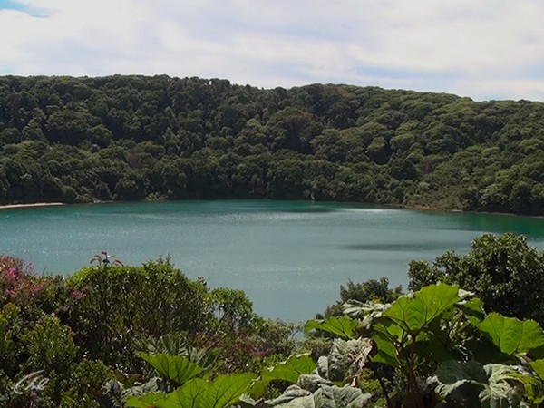 Джунгли. Волшебство другого мира