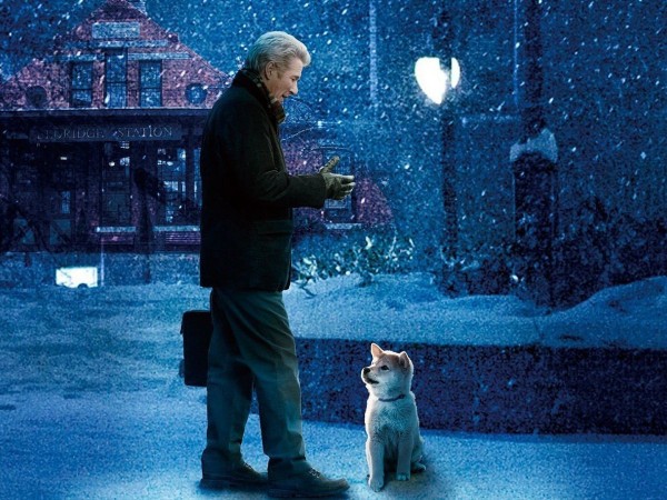 Хатико: самый верный друг