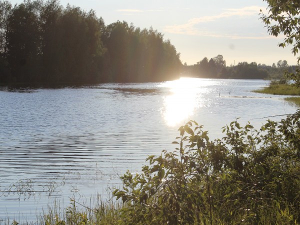 Где наша не пропадала