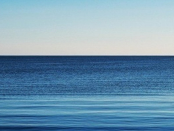 В свободном плавании: Спецвыпуск