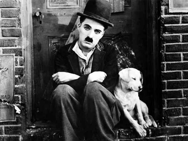 Собачья жизнь