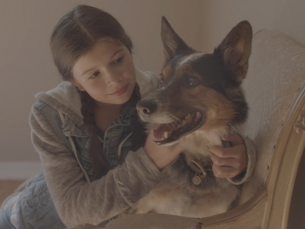 Одни дома (3)