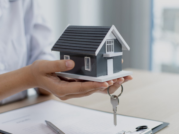 Недвижимость. Инструкция по применению (2)