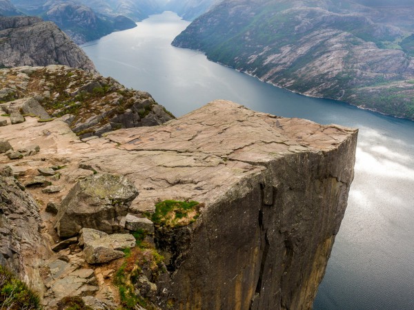 Золотые яблоки