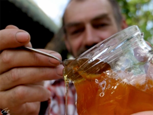 Сад без границ