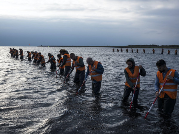 Расследование (3)
