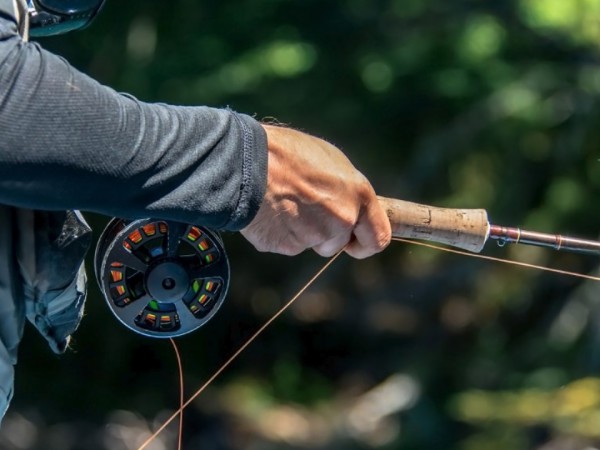 С удочкой по Сербии