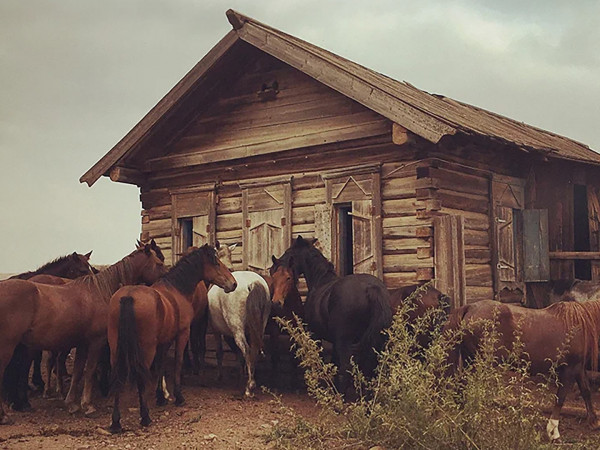 Сибирский ковчег