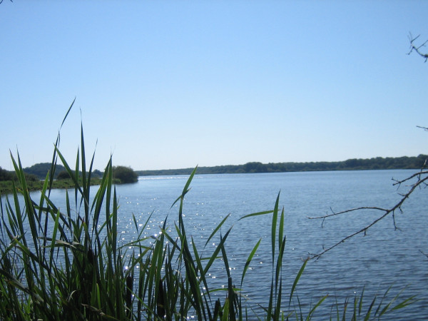 Пруды Бренна