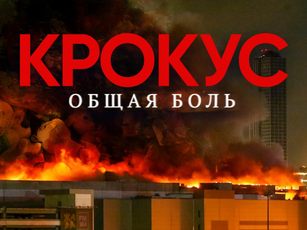 Крокус. Общая боль