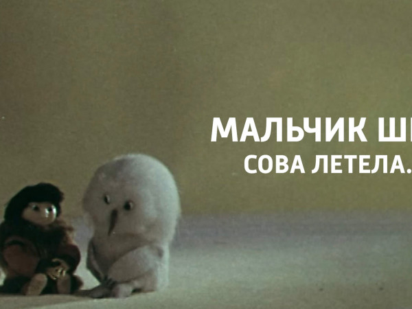 Мальчик шёл, сова летела