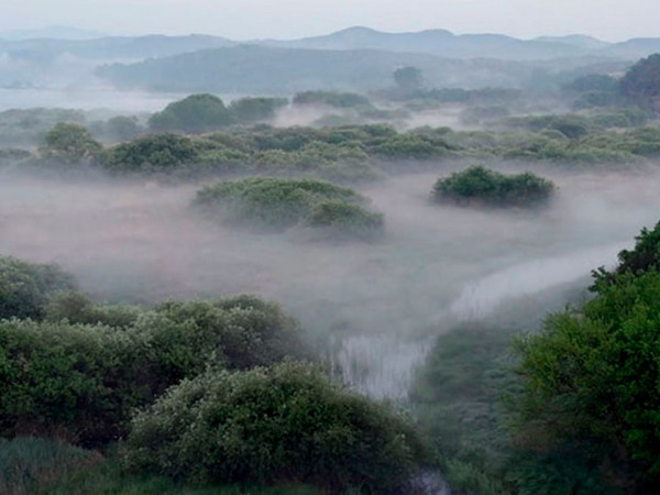 Тайны природы