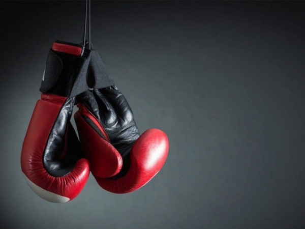 Профессиональный бокс. Winline. IBA. PRO 12. Трансляция из Самары