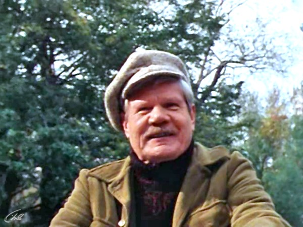 Под куполом цирка