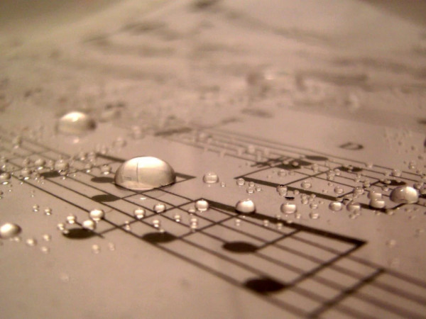 Выступления Чарльза Янга