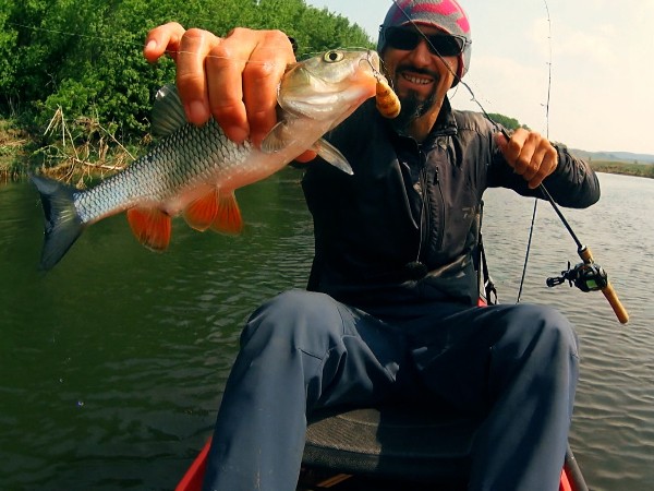 Голавль реки Урал