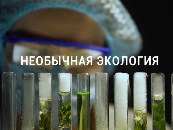 Необычная экология
