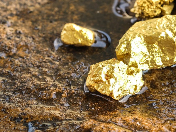 Золотая лихорадка (2)