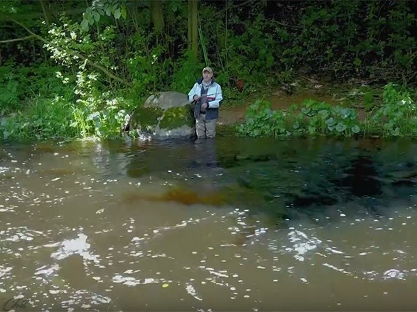 Шаг в тишину