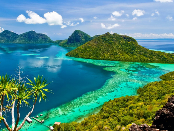 Сердце Борнео (2)