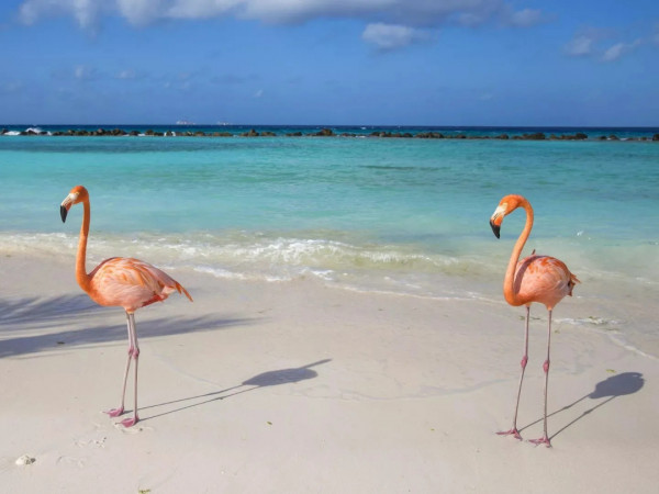 Куба: остров жизни