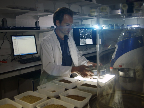 Тайны подземного мира (2)