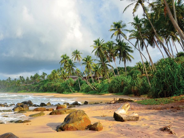 Истории из Шри-Ланки