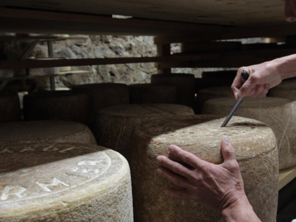 Искусство сыроделия