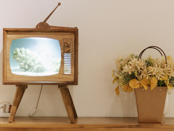 Интервью и поздравления музыкантов к 100-летию Московской филармонии (2)