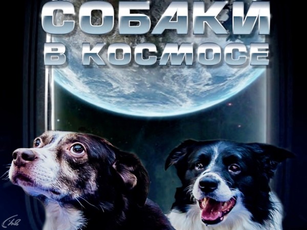 Собаки в космосе