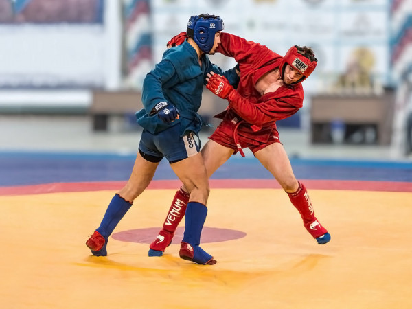 Самбо. Кубок Основоположников самбо (2)