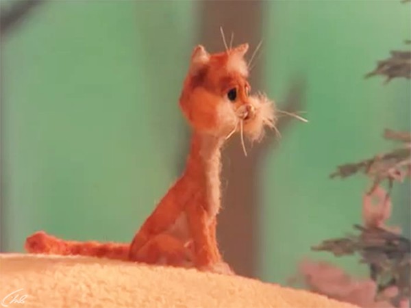 Рыжая кошка