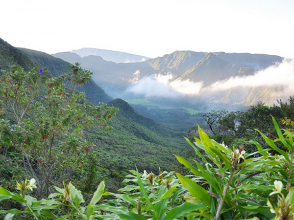 Гваделупа. Царство живой природы