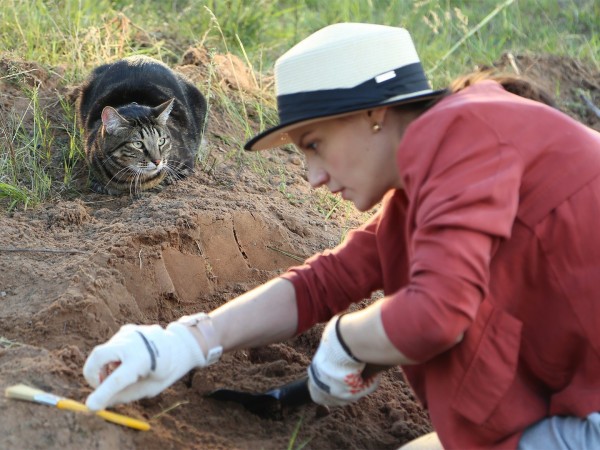 Женщина с котом и детективом (5)