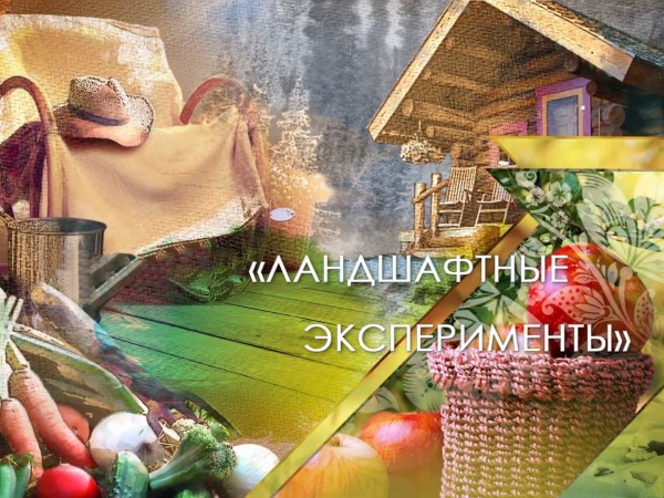 Ландшафтные эксперименты (2)