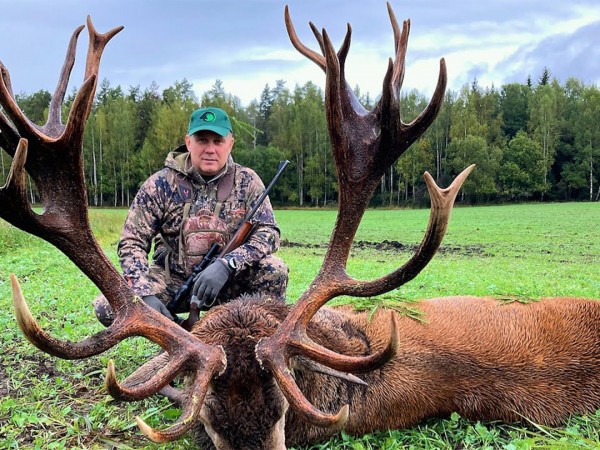 На реву. Благородный олень в Смоленской области
