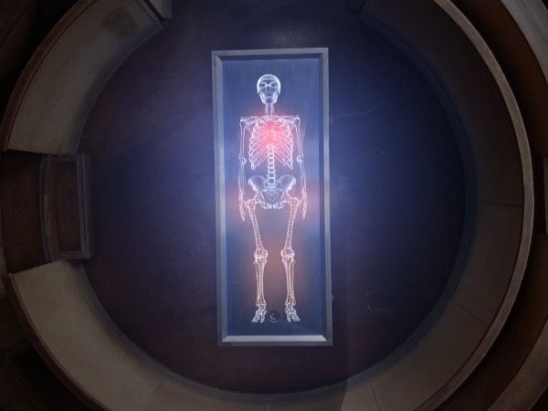 Кто убил неандертальца?