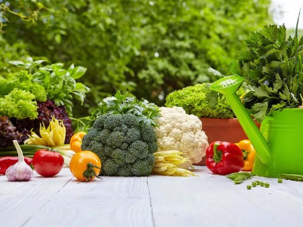 Огород от-кутюр