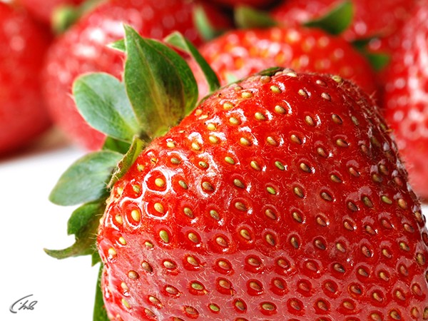 Дачные радости с Виталием Декабревым