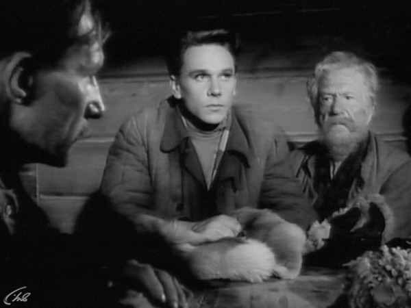 Жестокость