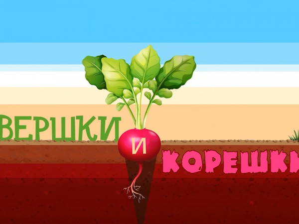 Вершки и корешки