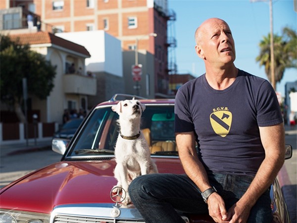 Его собачье дело