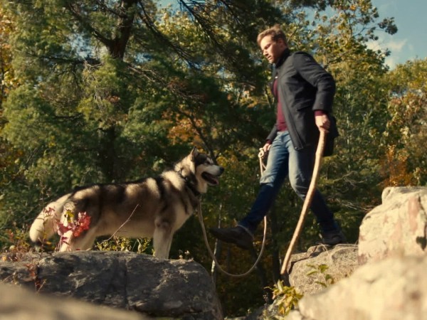 Собака-герой: Путешествие домой