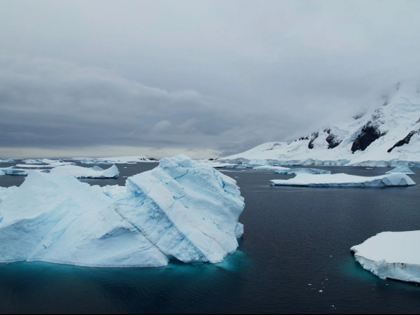 Антарктида. В поисках спасения