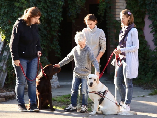 Вeрные друзья