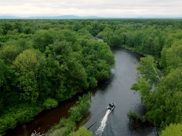 Дикая река (2)